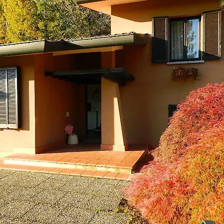 Giardino Delle Camelie *