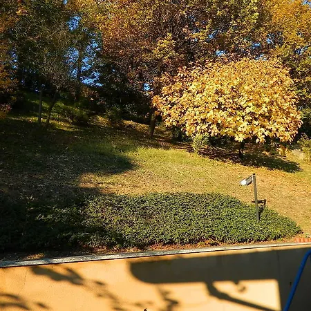 Giardino Delle Camelie Bevera (Lombardia)