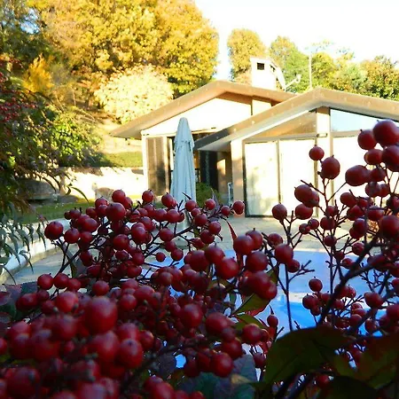 Giardino Delle Camelie Bed & Breakfast