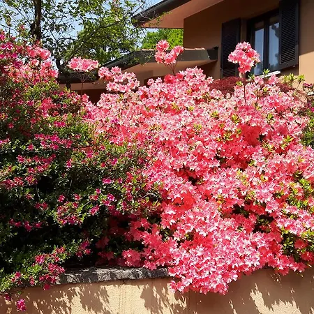 Giardino Delle Camelie Bed & Breakfast